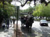 073 Horse drawn carriage tour.JPG (234682 bytes)