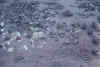 Montagnards rebuilding after VC attack.JPG (134938 bytes)